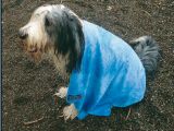 Cooling & Grooming Towel - Size M