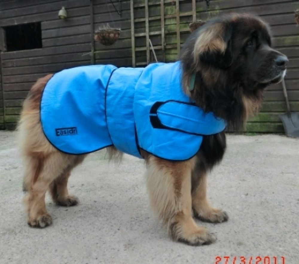 easidri dog coat